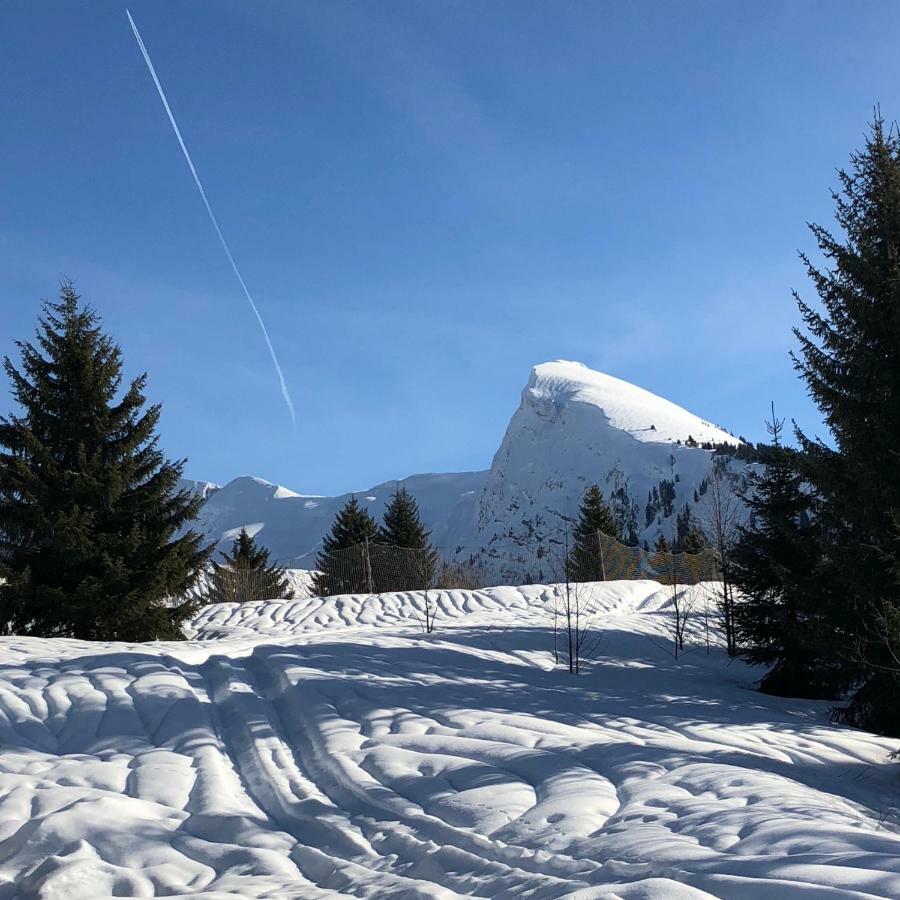 L'Ours Blanc Lodge Le Biot Dış mekan fotoğraf